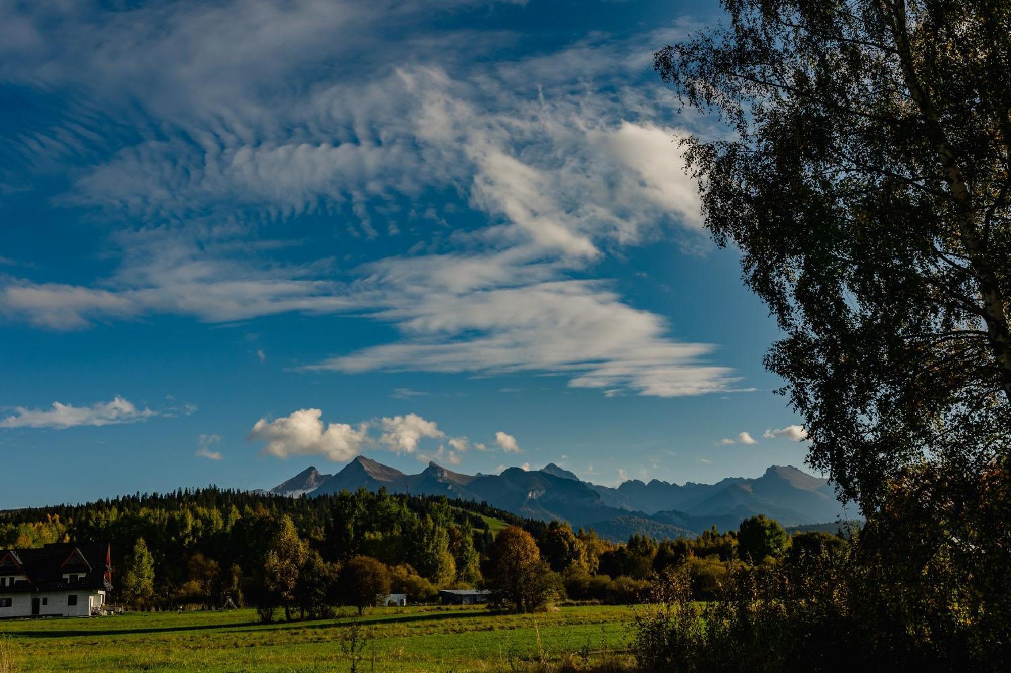 Domki W Gorach "U Misia" Jurgów Exteriér fotografie